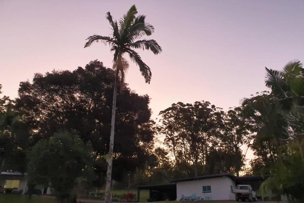 Cabin Country Retreat Paskins Farm Palmwoods エクステリア 写真