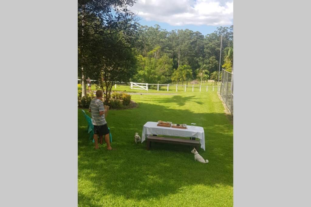 Cabin Country Retreat Paskins Farm Palmwoods エクステリア 写真
