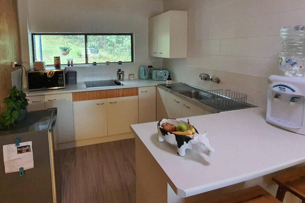 Cabin Country Retreat Paskins Farm Palmwoods エクステリア 写真