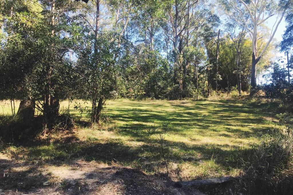 Cabin Country Retreat Paskins Farm Palmwoods エクステリア 写真
